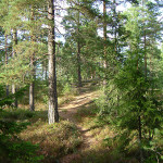 Gammelt vegfar gjennom Gjevelsrud skog, Ytre Enebakk