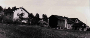 Kjærsrud gård Dalefjerdingen  1931       0229-377-0003