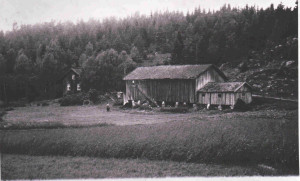 Padderud gård  1912   0229-001-0113