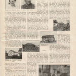 Allers Nr 14  – 2.APRIL 1938